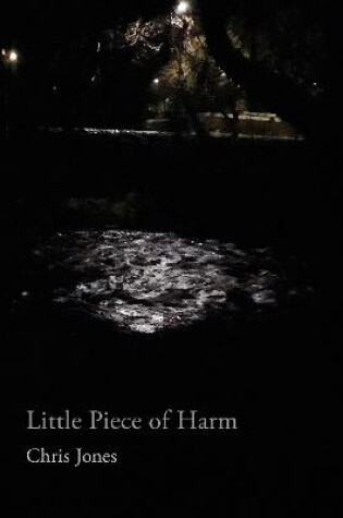 Cover of Little Piece of Harm