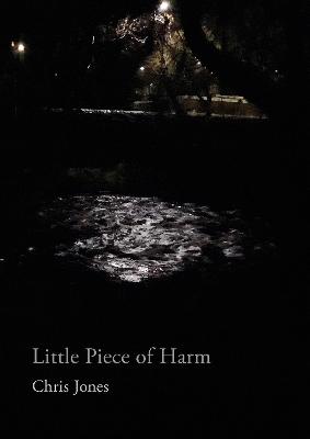 Book cover for Little Piece of Harm