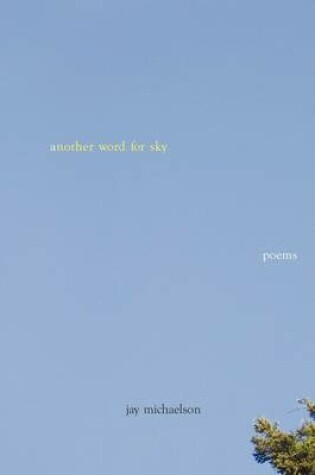 Cover of Another Word for Sky