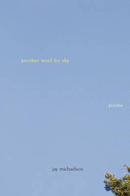 Book cover for Another Word for Sky