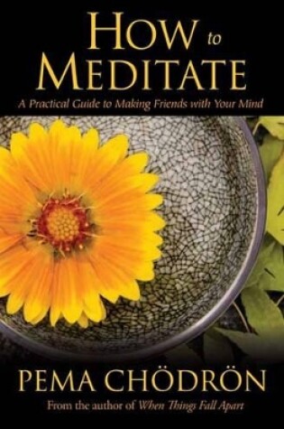 Cover of How to Meditate