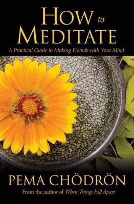 Book cover for How to Meditate