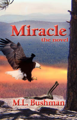 Book cover for Miracle, the Novel