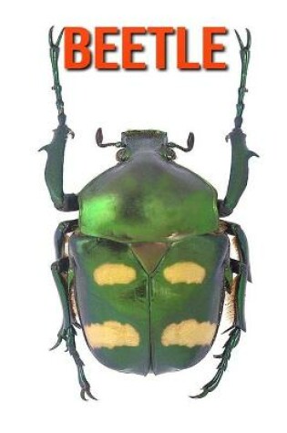 Cover of Beetle