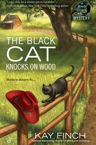 Cover of The Black Cat Knocks on Wood