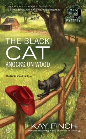 Cover of The Black Cat Knocks on Wood