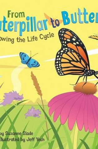 Cover of From Caterpillar to Butterfly