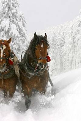 Book cover for A Sleigh Ride Through the Snow with Two Horses