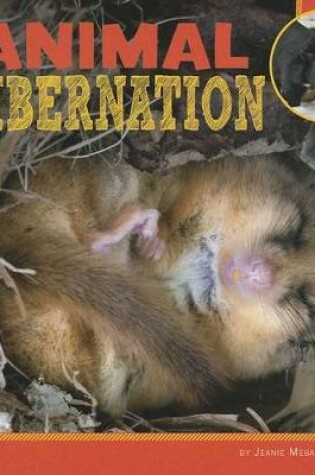 Cover of Animal Hibernation (Learn About Animal Behavior)