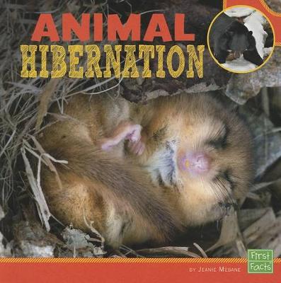 Book cover for Animal Hibernation (Learn About Animal Behavior)