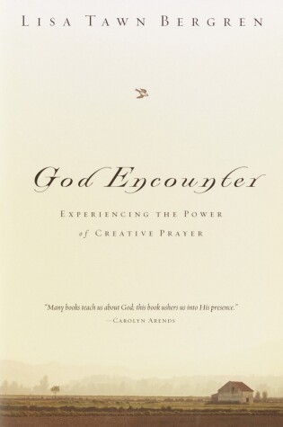 Cover of God Encounter