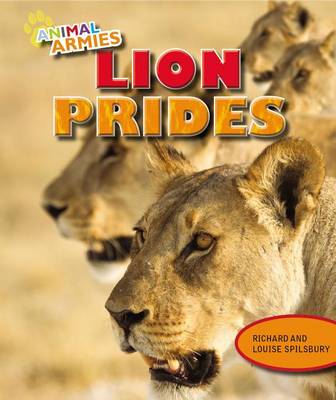 Book cover for Lion Prides