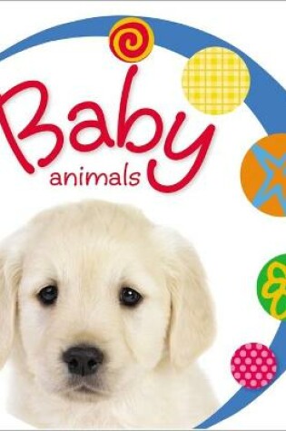Cover of Baby Loves Baby Animals