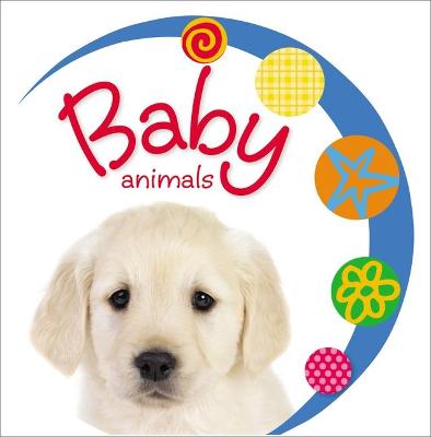 Book cover for Baby Loves Baby Animals