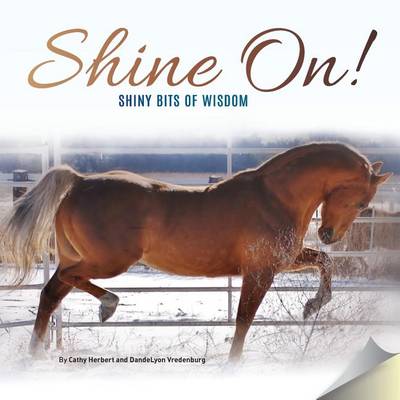 Cover of Shine On!