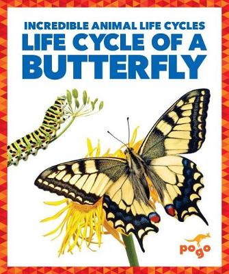 Book cover for Life Cycle of a Butterfly