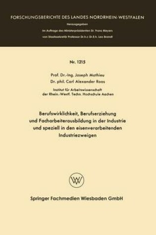 Cover of Berufswirklichkeit, Berufserziehung Und Facharbeiterausbildung in Der Industrie Und Speziell in Den Eisenverarbeitenden Industriezweigen