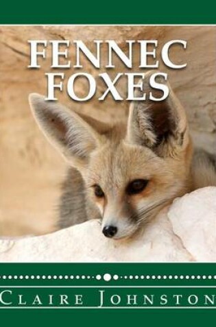 Cover of Fennec Foxes