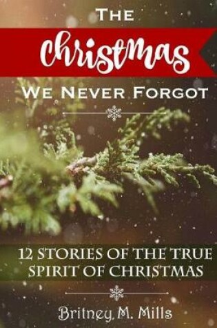 Cover of The Christmas We Never Forgot