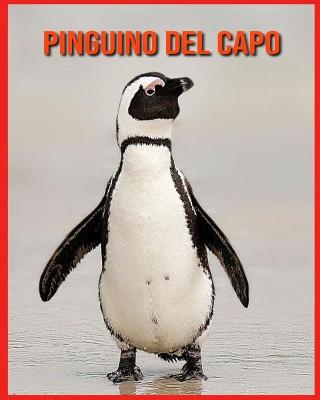 Book cover for Pinguino del Capo