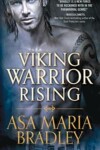 Book cover for Viking Warrior Rising