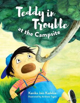 Book cover for Teddy in Trouble at the Campsite