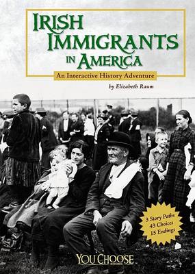 Cover of Irish Immigrants in America