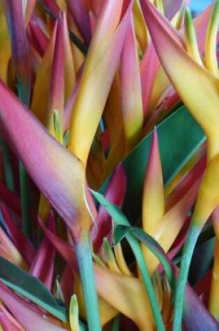 Cover of Bird of Paradise Flowers Tropical Blooms Journal