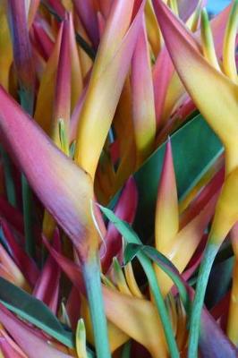 Book cover for Bird of Paradise Flowers Tropical Blooms Journal