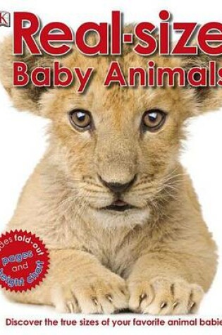 Cover of Real-Size Baby Animals