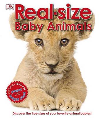 Book cover for Real-Size Baby Animals