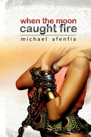 Cover of When the Moon Caught Fire