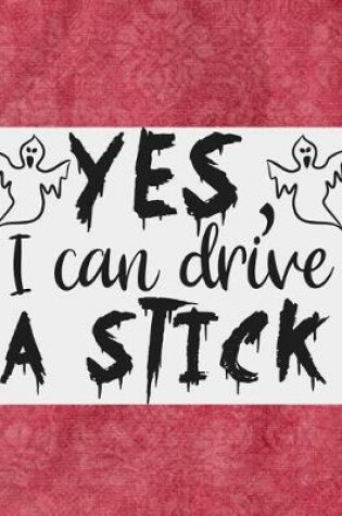 Cover of Yes, I Can Drive A Stick