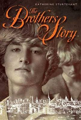 Book cover for The Brothers Story