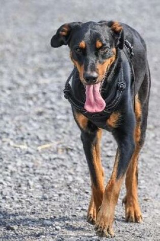 Cover of Beauceron Dog Out for a Stroll Journal