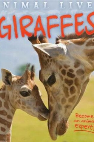 Cover of Animal Lives: Giraffes
