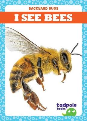 Cover of I See Bees