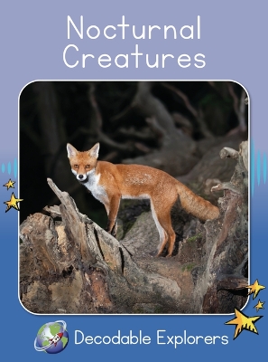 Cover of Nocturnal Creatures