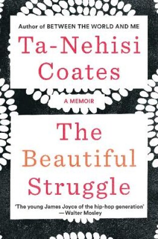 Cover of The Beautiful Struggle