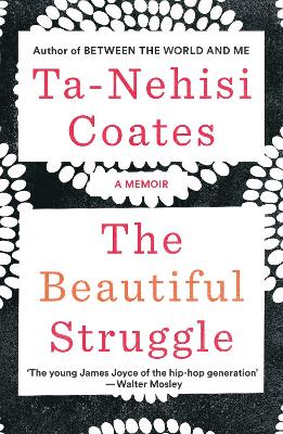 Book cover for The Beautiful Struggle