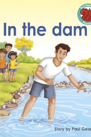 Cover of In the dam