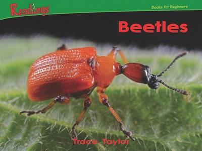 Cover of Beetles