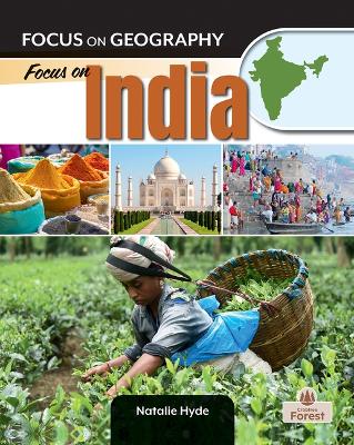 Book cover for Focus on India