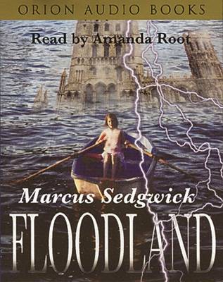 Book cover for Floodland