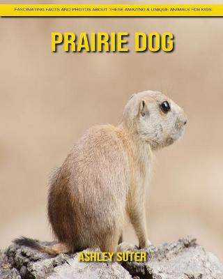 Book cover for Prairie Dog