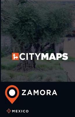 Book cover for City Maps Zamora Mexico