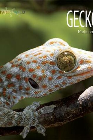 Cover of Living Wild: Geckos