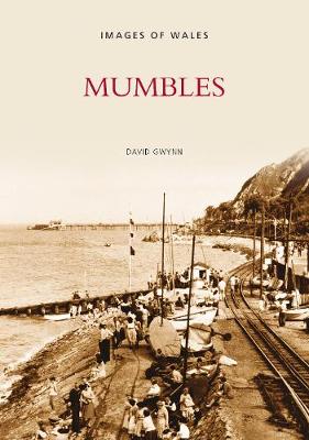 Book cover for Mumbles
