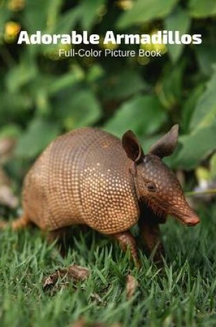 Cover of Adorable Armadillos Full-Color Picture Book