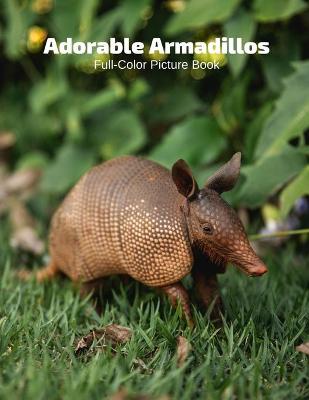 Book cover for Adorable Armadillos Full-Color Picture Book